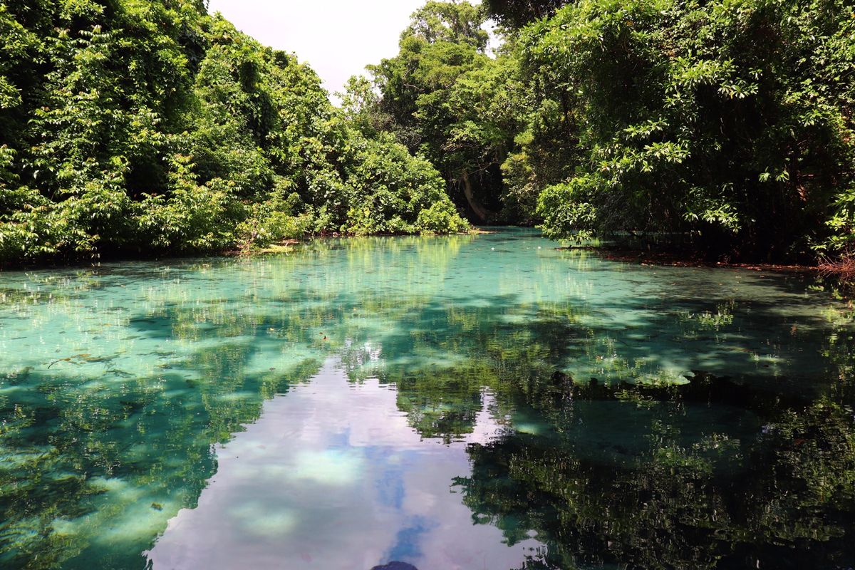 サント島のリリブルーホール。カヌーで進んでブルーホールまで行きますが、その...