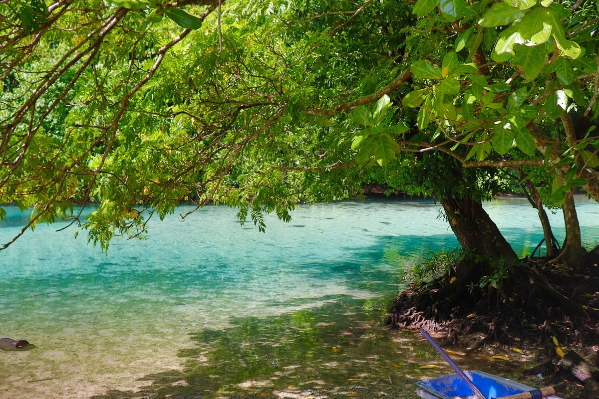乗ってたカヌー🛶
まぁまぁ細くて乗りにくいけど先頭からの景色は最高♪
淡水...