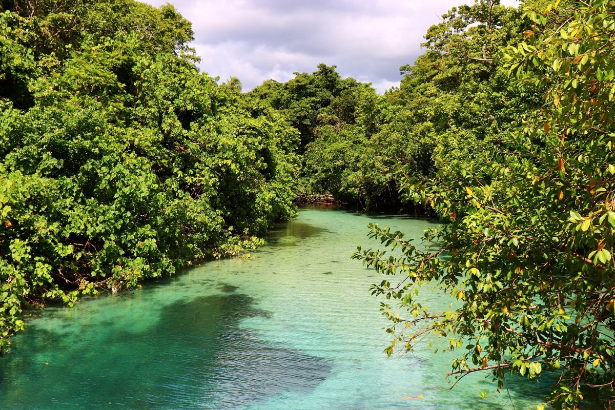 乗ってたカヌー🛶
まぁまぁ細くて乗りにくいけど先頭からの景色は最高♪
淡水...