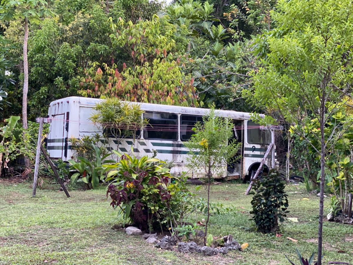 カヴァ作りを見学してるアジア人が珍しかったのか村人がわらわら寄ってきた〜
...