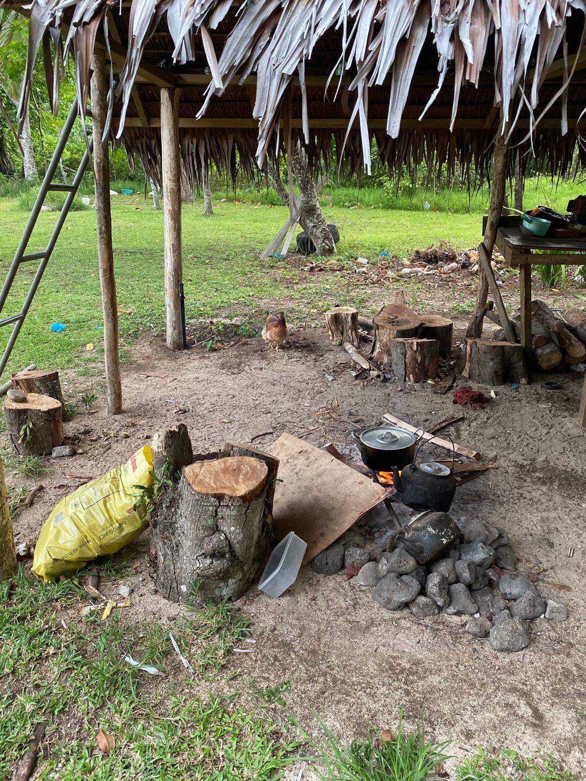 カヴァ作りを見学してるアジア人が珍しかったのか村人がわらわら寄ってきた〜
...