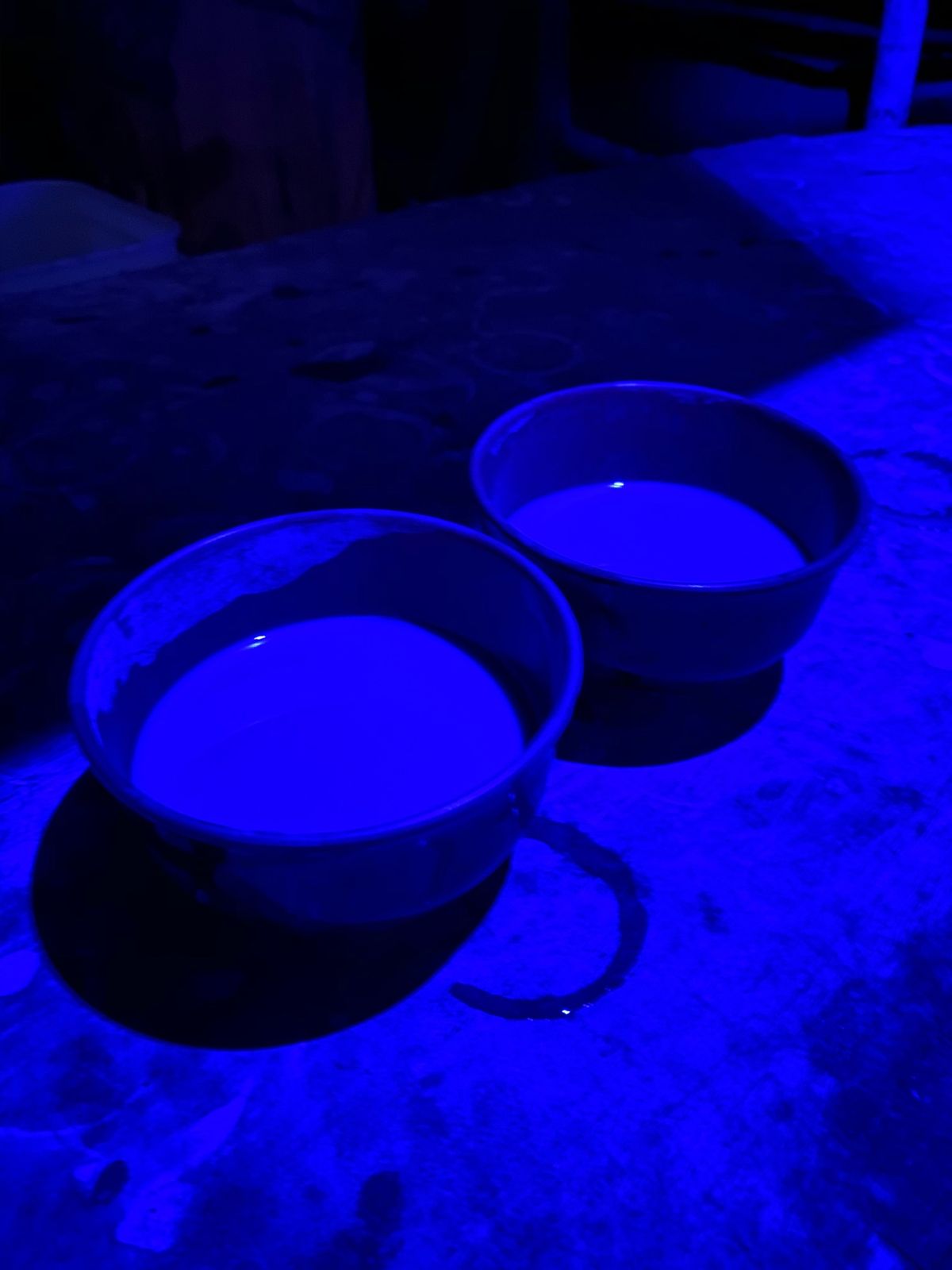 ついにカヴァが出来上がる頃には夜！

ぐいぐいと飲ませたがるISTVAN
...