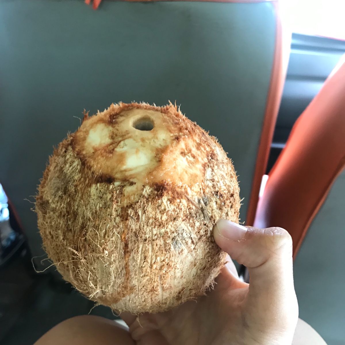 ココナッツのサミュエルによるココナッツ地獄。最初のスポンジみたいなココナッ...