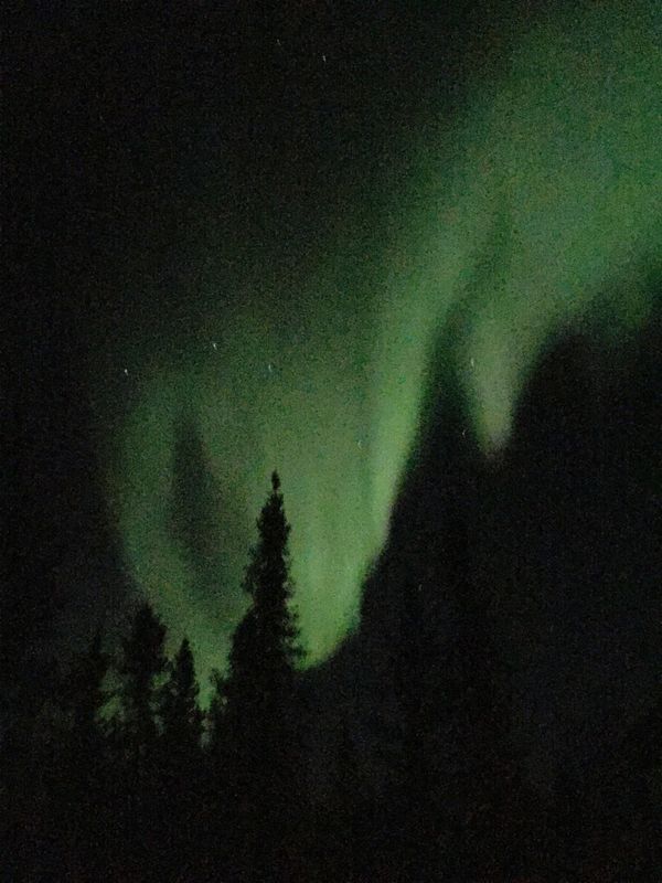 カナダ・カナダ→イエローナイフ「オーロラ」の写真