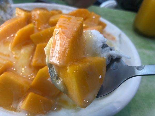 台湾・台北「台湾🇹🇼2(台北)」の写真