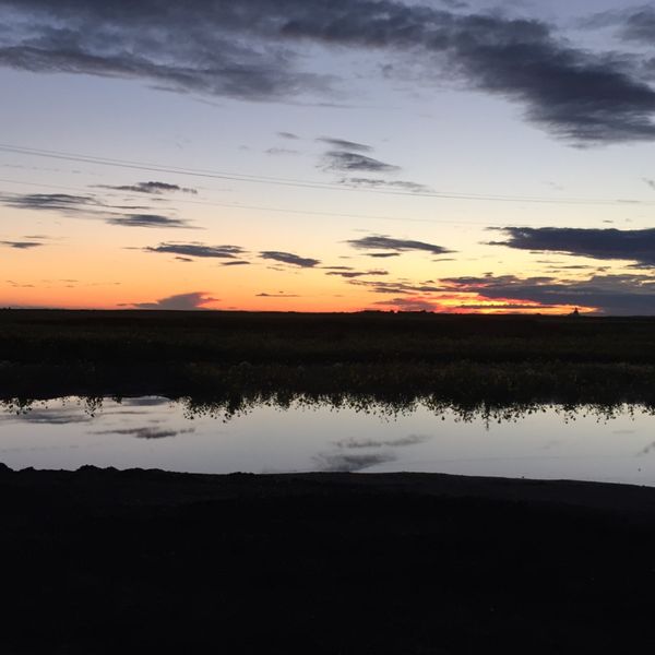 カナダ・サスカチュワン州「短期留学①」の写真：1枚目: ある日の夕暮れ。レジャイナは平...