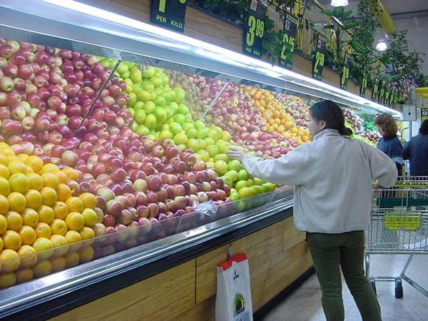 ニュージーランド・オークランド「Working Holiday in NZ」の写真