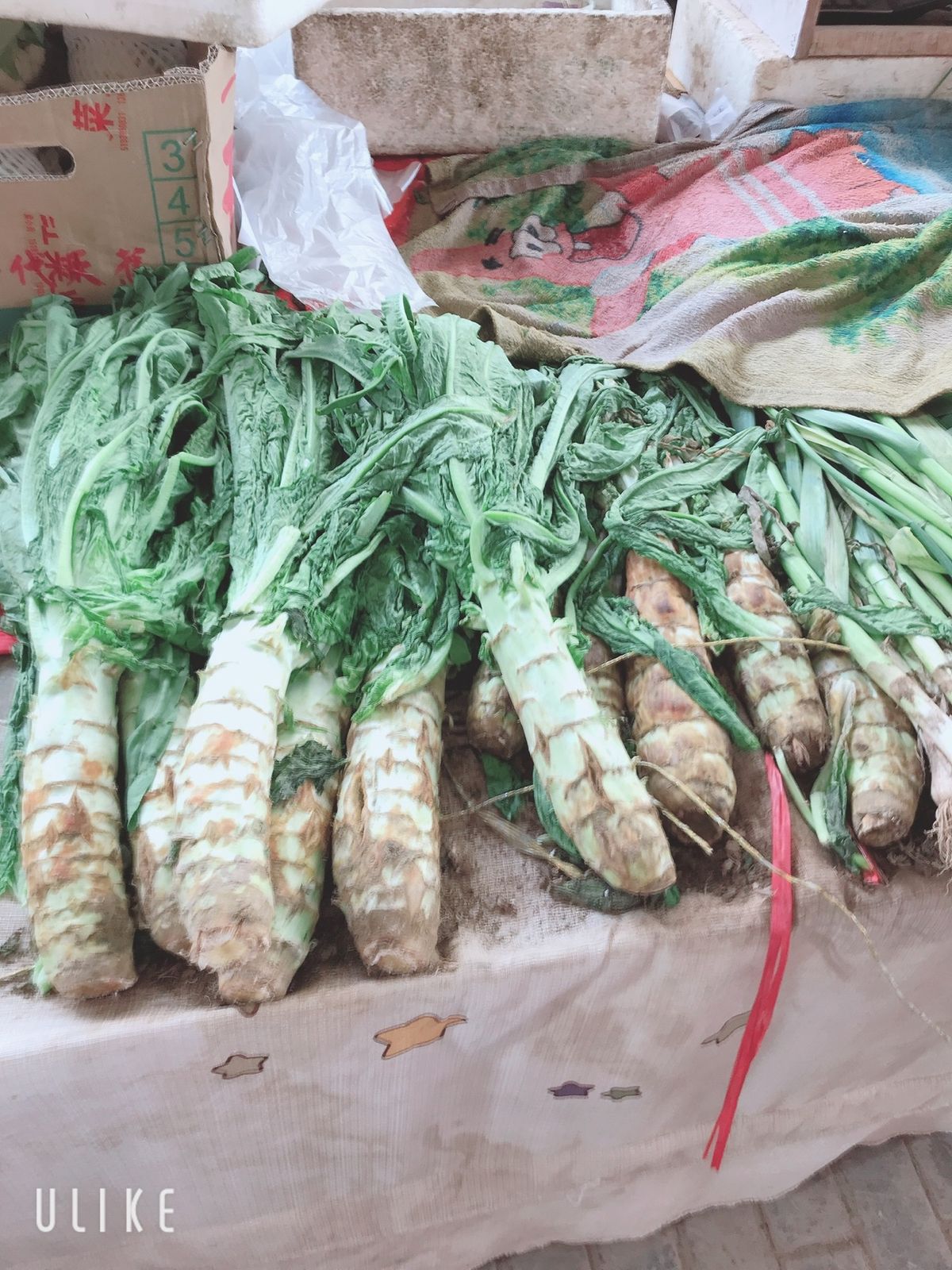 フレッシュフルーツもたくさん🍈🍉🍓🥭
2枚は南京で食べたレタス🥬