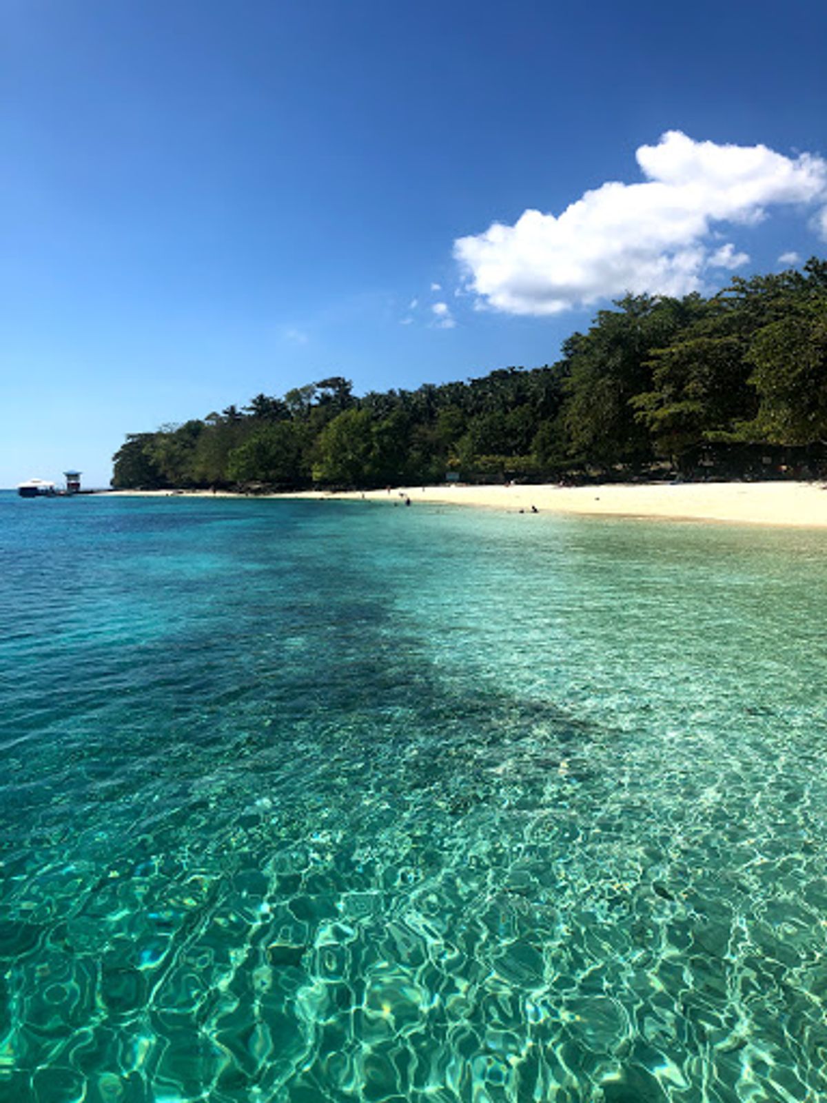 Talikud island
ダバオの港から行く島。
朝早いパブリックボー...