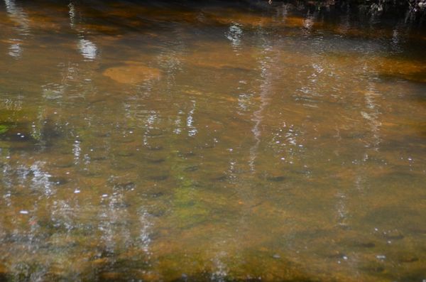 カンボジア・シェムリアップ「カンボジア （ベトナム→カンボジア→タイ）」の写真