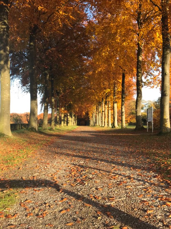オランダ「オランダ・ベルギー・ルクセンブルク」の写真