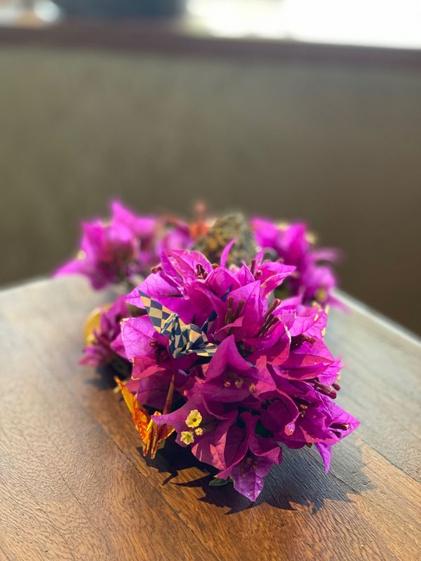 バヌアツ・タンナ島「バヌアツ大自然の旅」の写真：コックローチナイトから一夜明け
スタッフ...