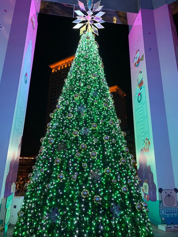 台湾・台湾、台北、新北市「台湾食べ物」の写真：新北市歡楽聖誕城