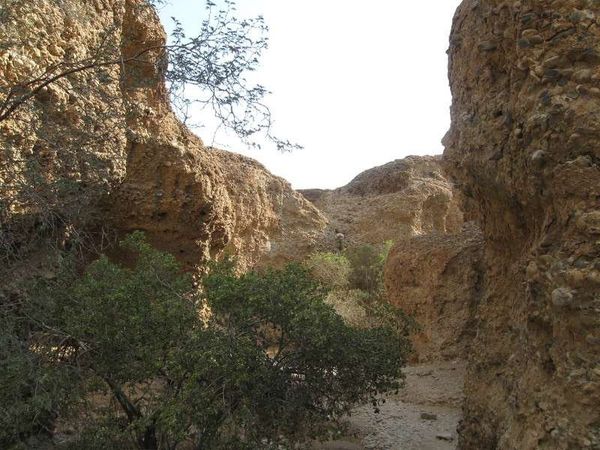 ナミビア・ナミブ砂漠「2013年 ナミビア　世界遺産ナミブ砂漠と都会の首都ウイントフーク」の写真：セスリムの渓谷