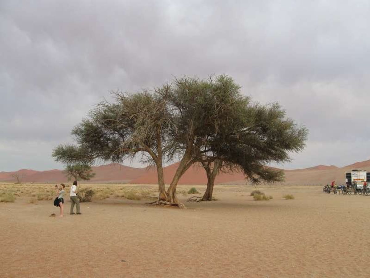 朝5時に起床、ナミブ砂漠へ向かう