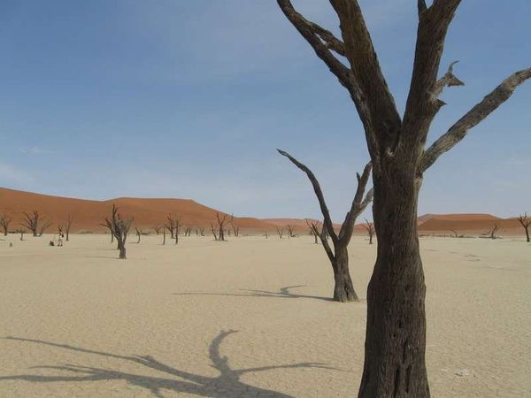 ナミビア・ナミブ砂漠「2013年 ナミビア　世界遺産ナミブ砂漠と都会の首都ウイントフーク」の写真：Dead Vlei
素晴らしい