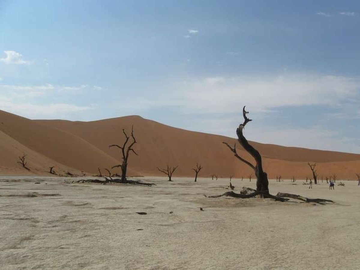 Dead Vlei
素晴らしい