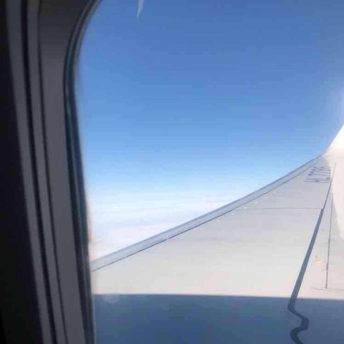 連日気温1,2度前後で、冬の韓国にしてはそこまで寒くないんだろうけど、寒い...