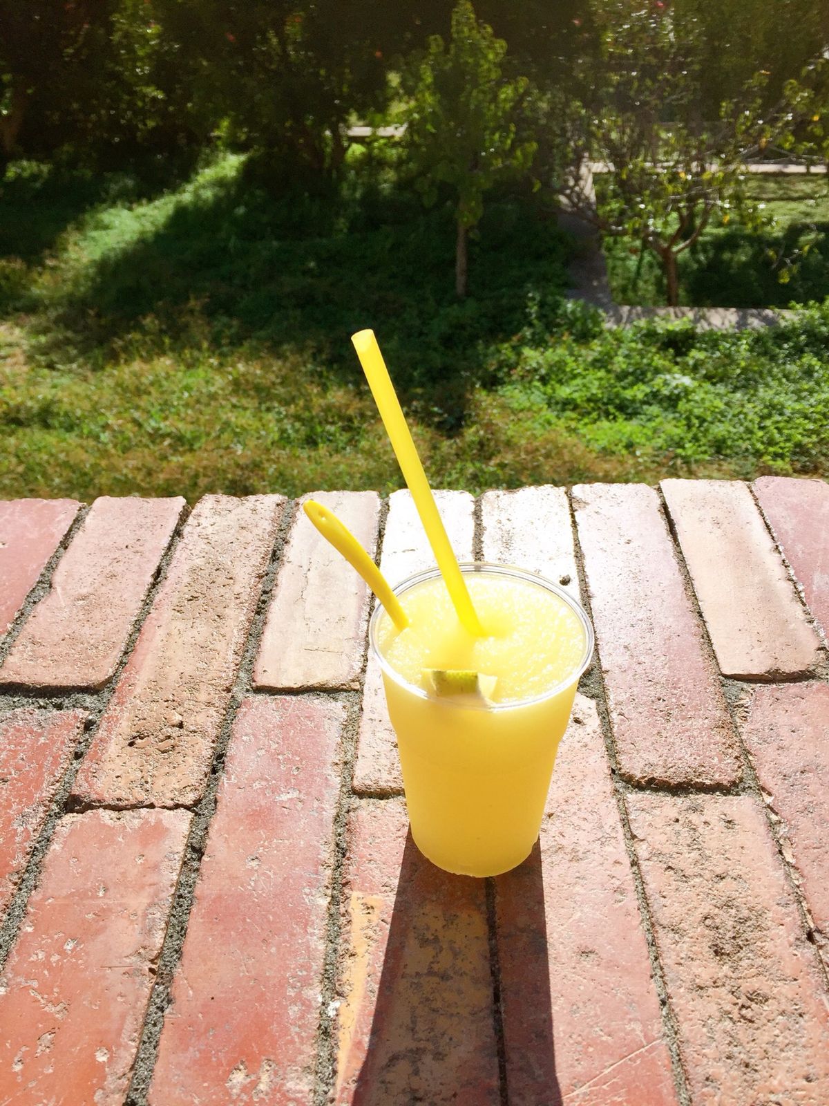 青の洞窟に入れなかったので、カプリ島をのんびり散策！リモンチェッロ（レモン...