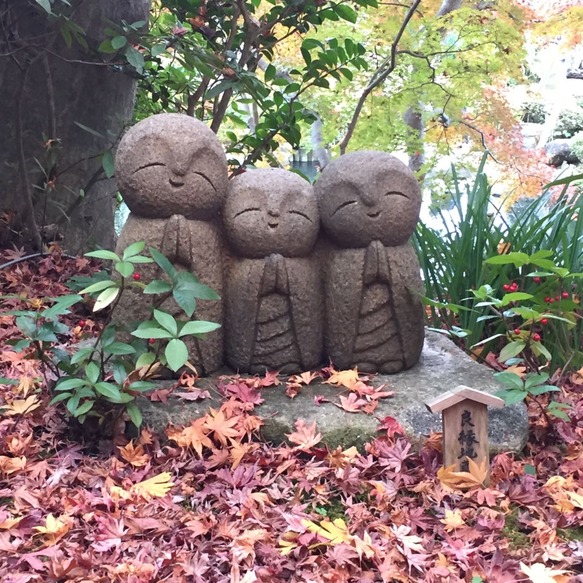 長谷寺。紫陽花で有名ですが、紅葉も美しい。