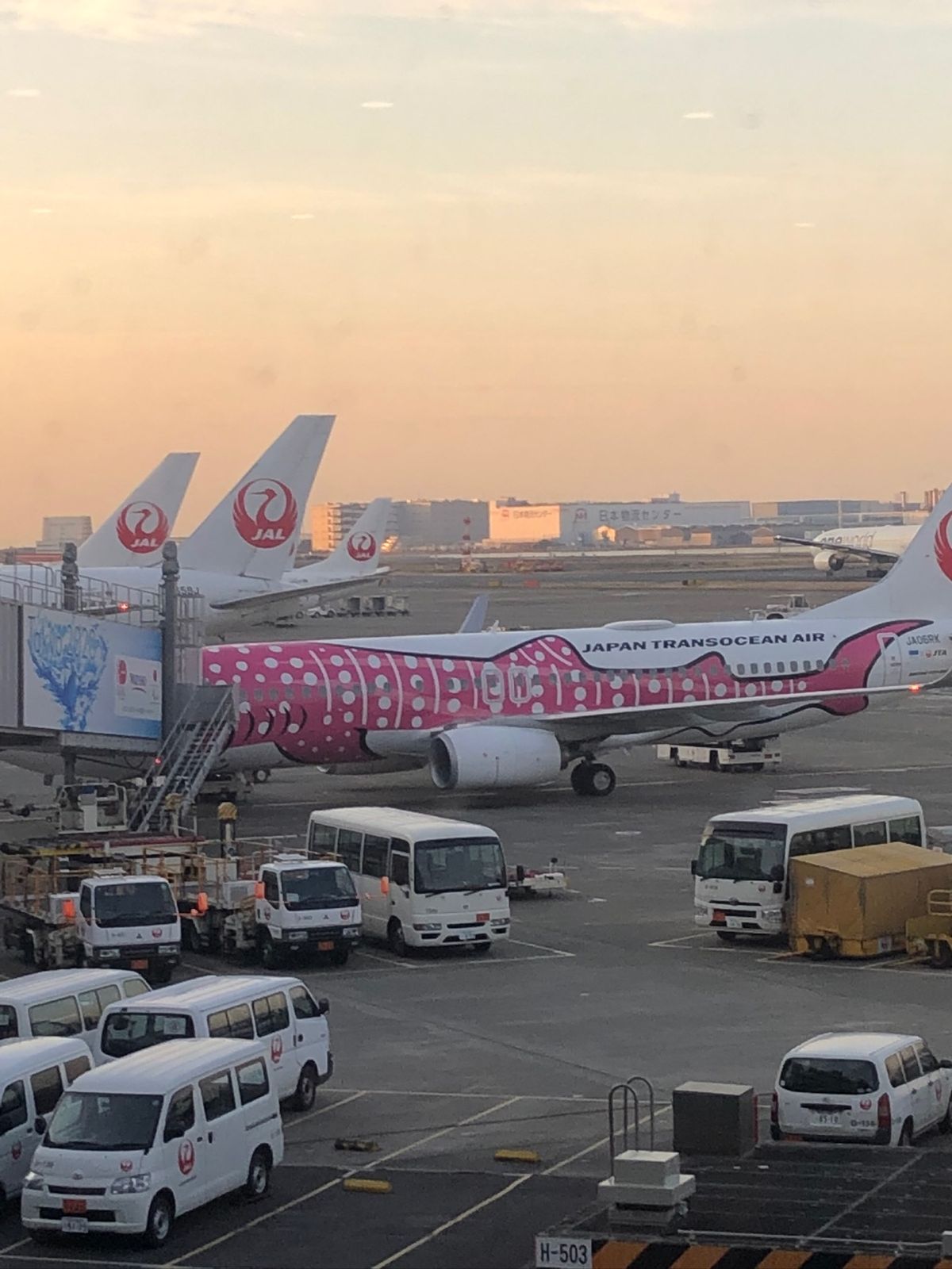 出雲大社へ✈️
