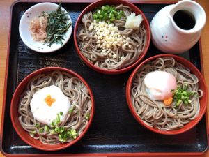 田中屋の出雲そばを食べてから稲佐の浜へ
