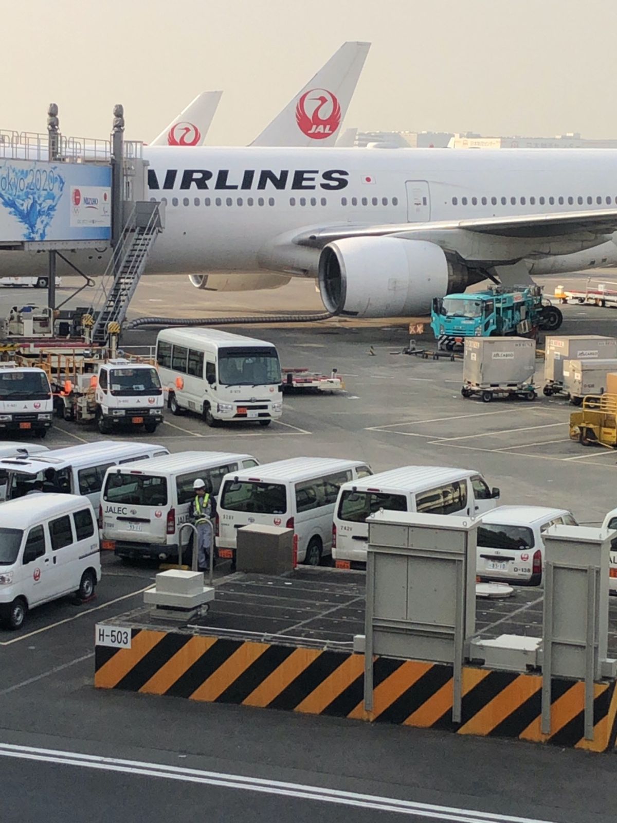 大分へ
岡本屋の玉子サンドと地獄蒸しプリン
