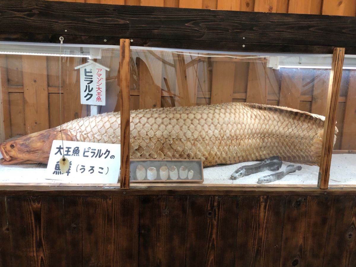 鬼山地獄　白池地獄