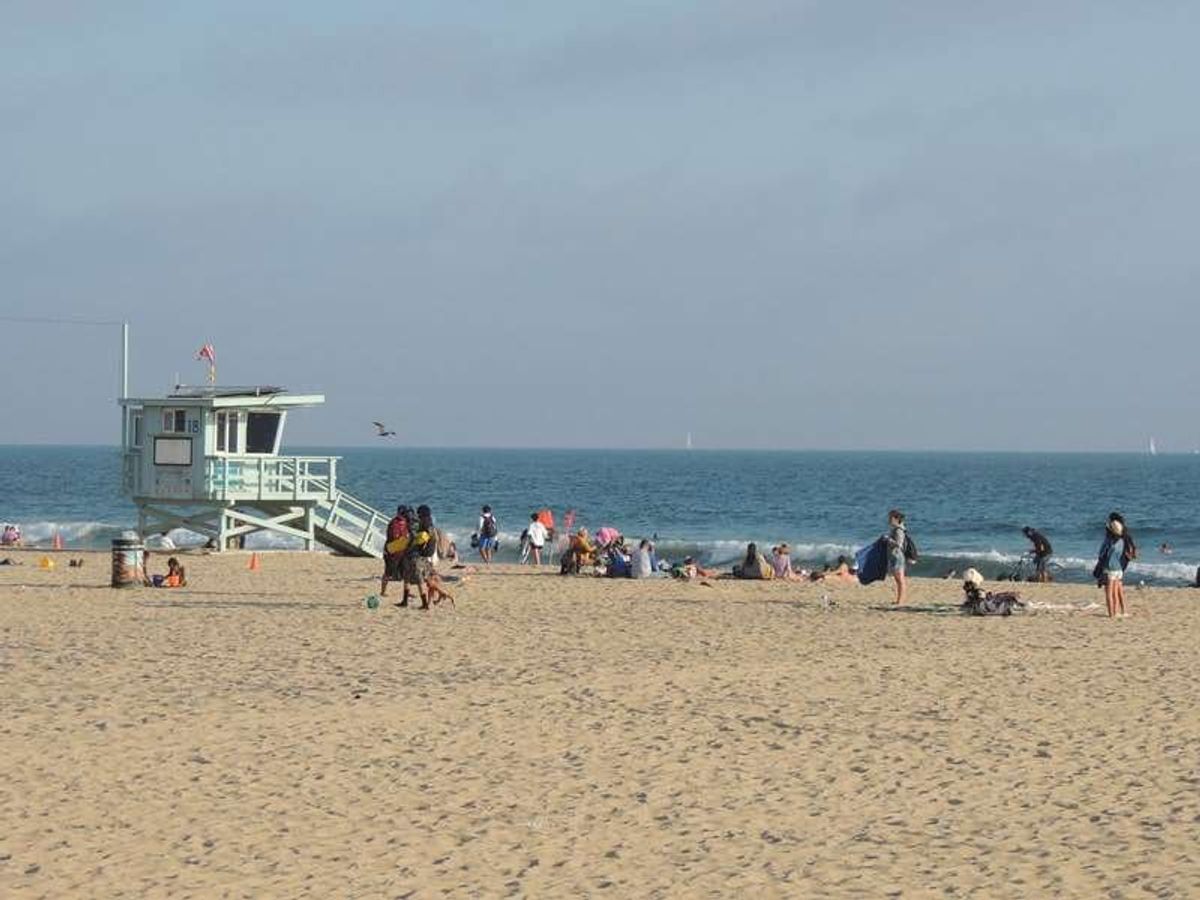 Venice Beach の警察