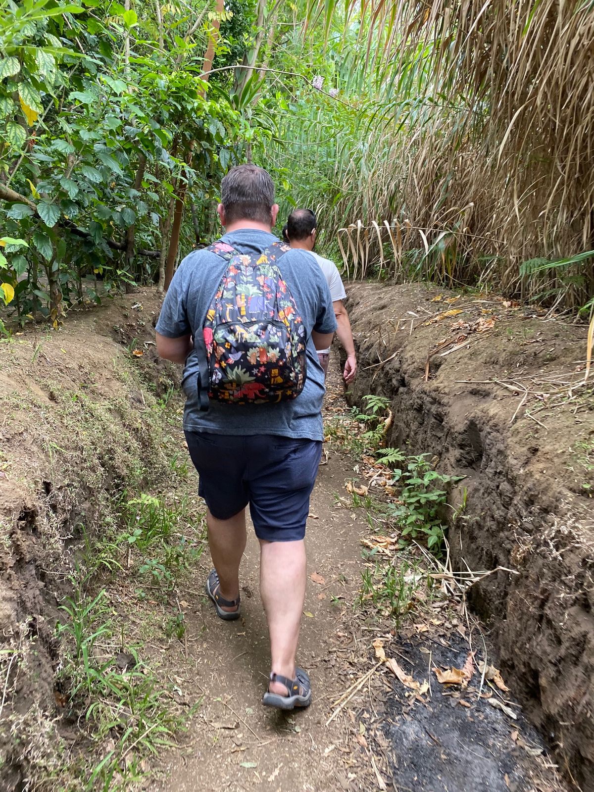 折り紙がよっぽど気に入ったのか、畑の農作物の説明のときもゾロゾロと付いてく...