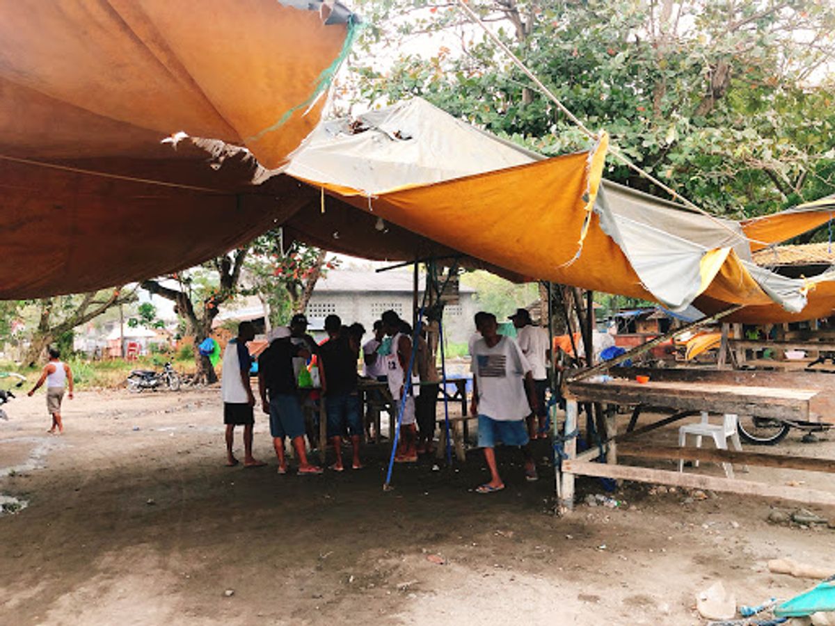 漁業が盛んで、仲良くなったら普通に漁に連れてってくれるよ。四枚目の人達。
...