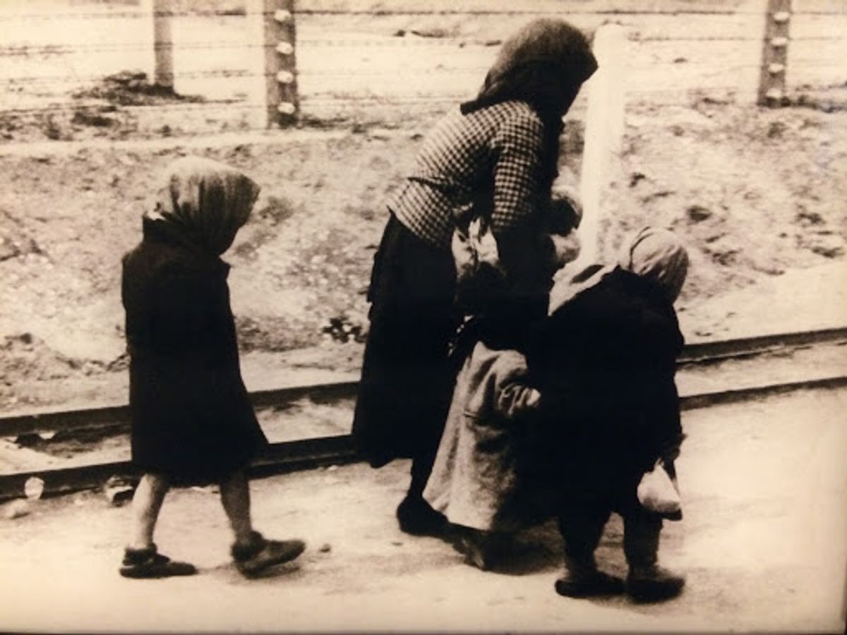 深く考えさせられた写真を撮影させていただきました。これから起こりうる事、何...