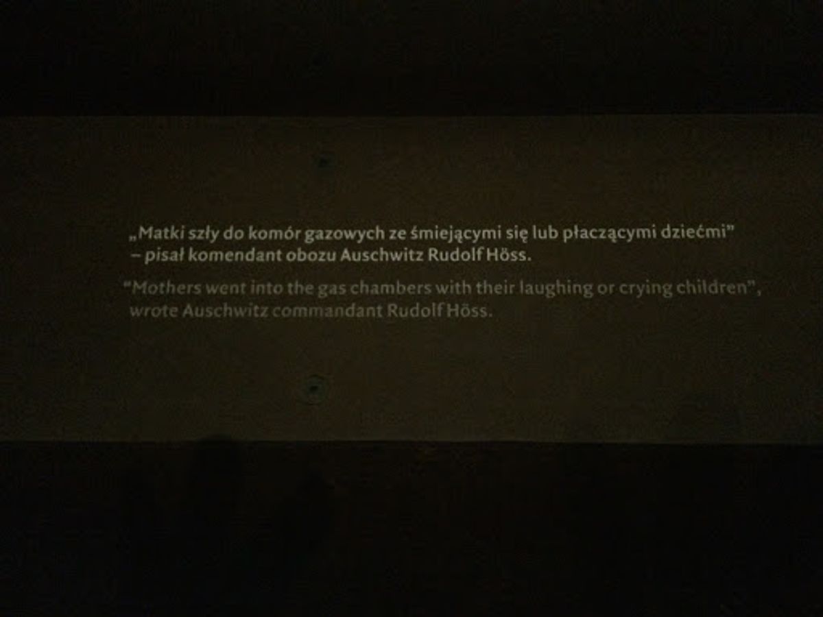 深く考えさせられた写真を撮影させていただきました。これから起こりうる事、何...