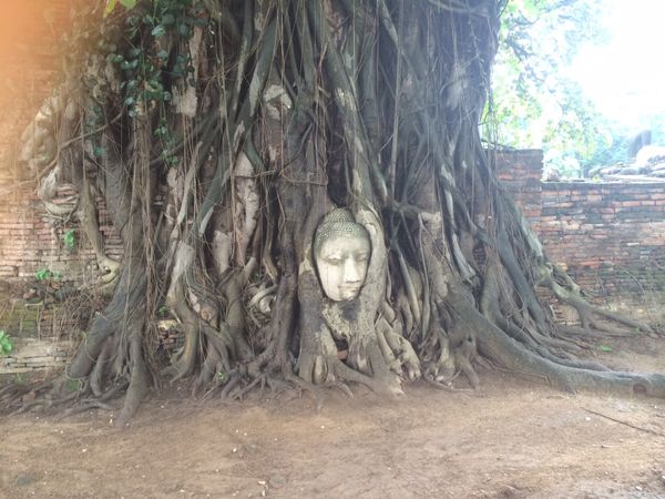 タイ・バンコク「バンコク③」の写真