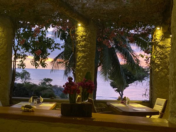 バヌアツ・タンナ島「バヌアツ大自然の旅」の写真：タンナ島最後の夕食

隣のテーブルでゴハ...