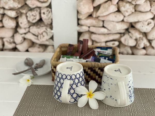 バヌアツ・タンナ島「バヌアツ大自然の旅」の写真：バヌアツ最後の島、エファテ島

街の中か...