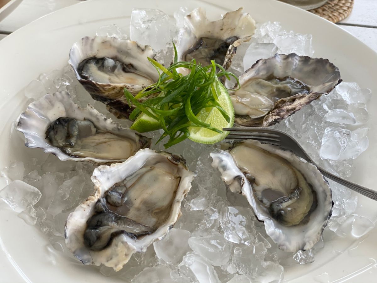 タマヌオンザビーチ
バヌアツの食事は美味しいものの、メニュー数は少ない…😭...