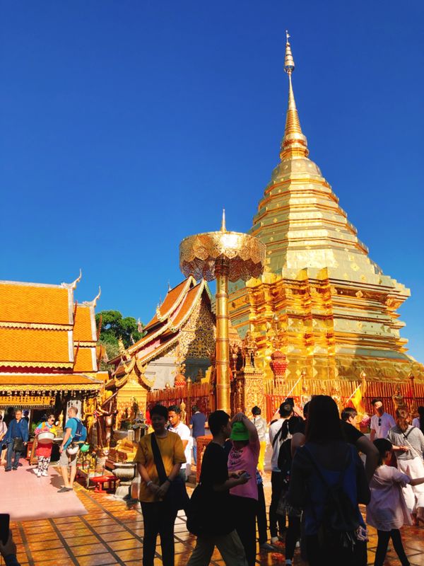 タイ・チェンマイ「タイ研修」の写真：1枚目
ソンテウでひたすら山をブンブン登...