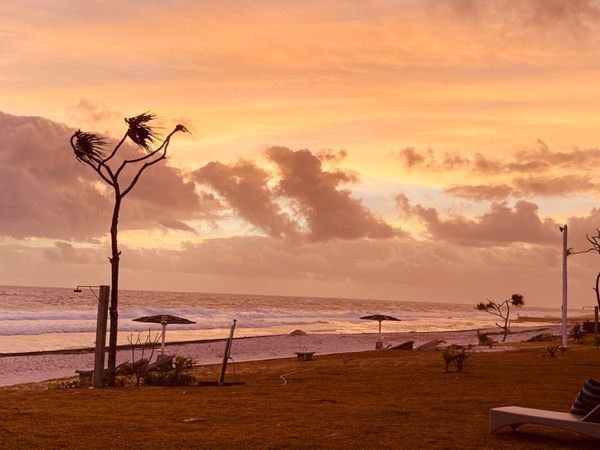 バヌアツ・タンナ島「バヌアツ大自然の旅」の写真：タマヌオンザビーチ
コテージの目の前のプ...