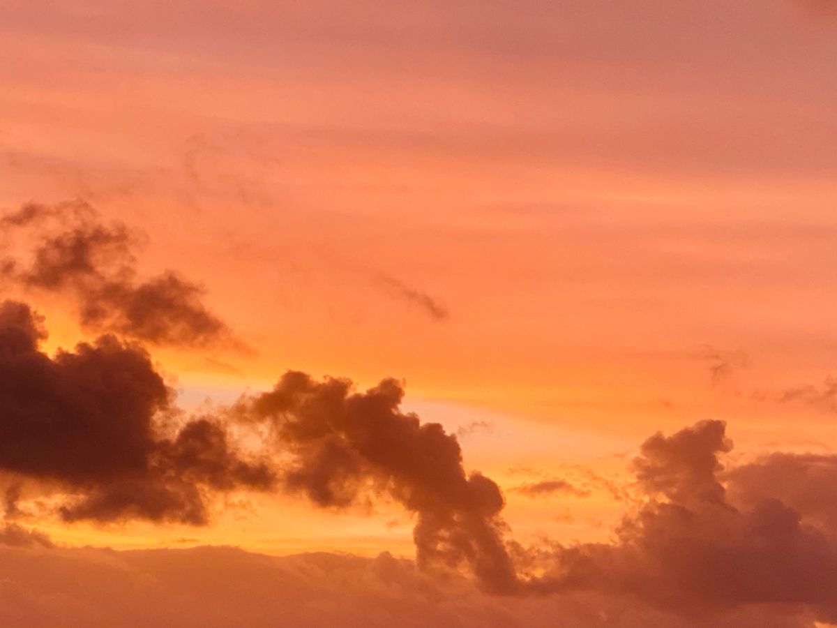 タマヌオンザビーチ
コテージの目の前のプライベートビーチでサンセット！
一...