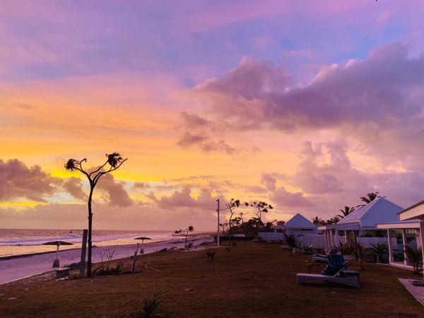 バヌアツ・タンナ島「バヌアツ大自然の旅」の写真：タマヌオンザビーチ
オレンジの世界からだ...