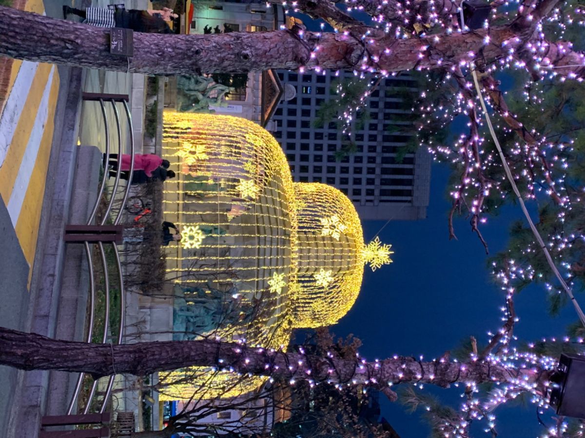 クリスマス時期だから味わえる景色
寒いけど外に出たくなります😊