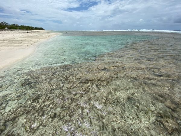 バヌアツ・タンナ島「バヌアツ大自然の旅」の写真：タマヌオンザビーチ　プライベートビーチ
...