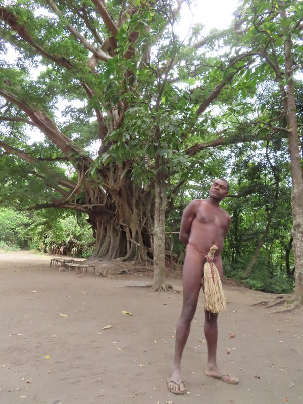バヌアツ・タンナ島「バヌアツ大自然の旅」の写真：カスタムヴィレッジ

やっぱり何度見ても...