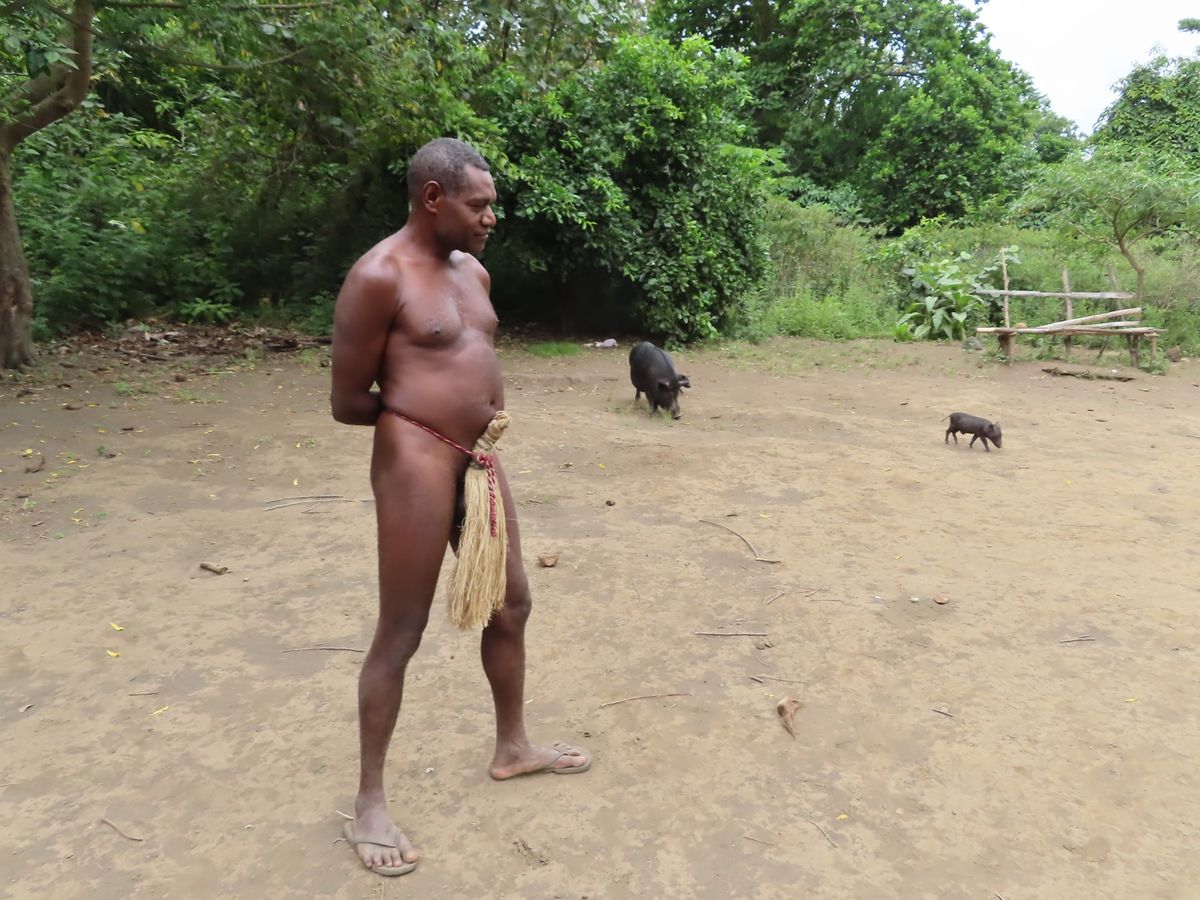 ここで色々と村について教えてくれた
5世帯が暮らしているらしい🏘🌳

ブタ...