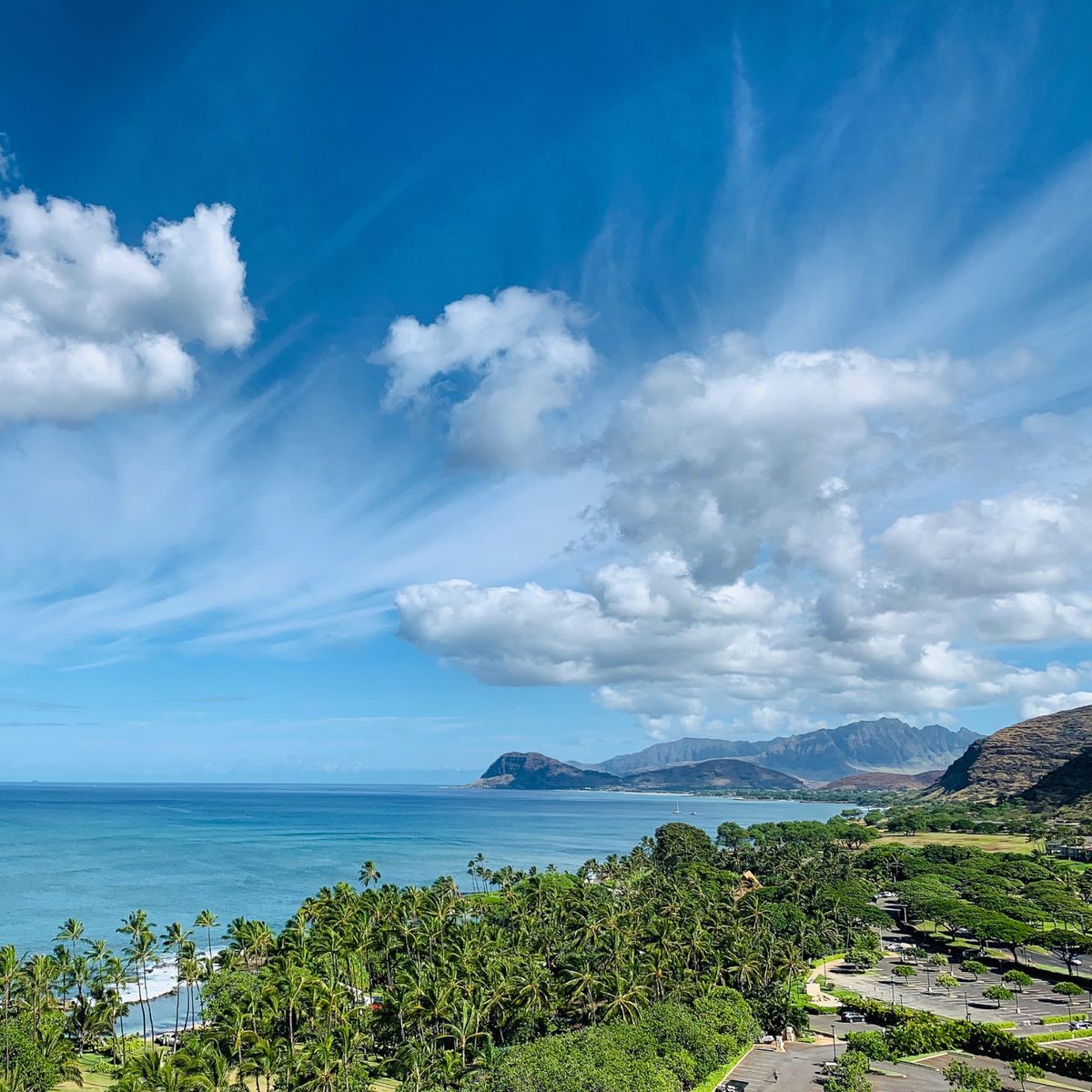 フォーシーズンズ　🌴