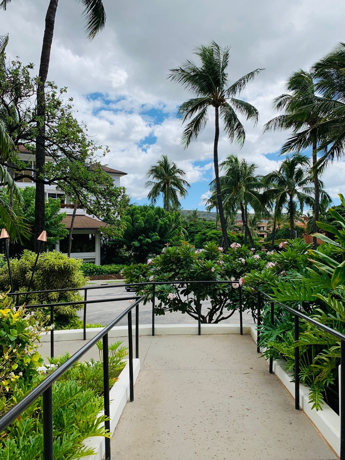 フォーシーズンズ　🌴