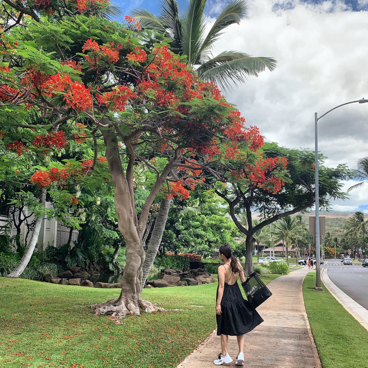 フォーシーズンズ　🌴