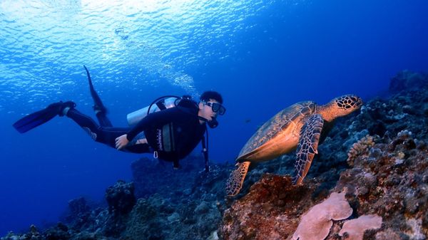 北マリアナ諸島・サイパン「サイパン」の写真：４日目
・ラウラウ
・グロット