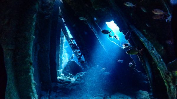 北マリアナ諸島・サイパン「サイパン」の写真：２日目
・ラウラウ
・沈船
・B29